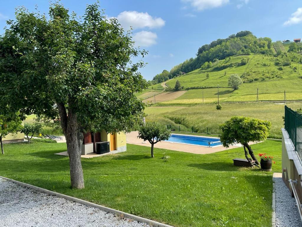Ruralna Kuca 'Villa Zagorka' Za Odmor Sa Bazenom I Bocalistem Donja Pacetina Eksteriør billede