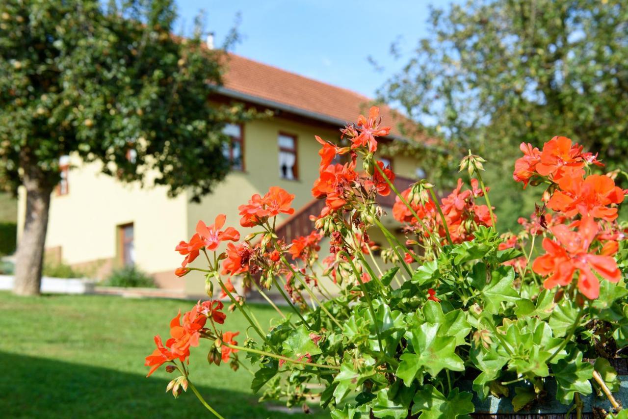 Ruralna Kuca 'Villa Zagorka' Za Odmor Sa Bazenom I Bocalistem Donja Pacetina Eksteriør billede